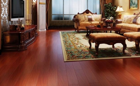 圆盘豆3.png 圆盘豆3.png