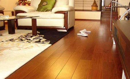 圆盘豆4.png 圆盘豆4.png